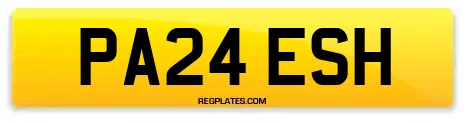 PA24 ESH