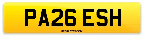 PA26 ESH