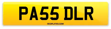PA55 DLR