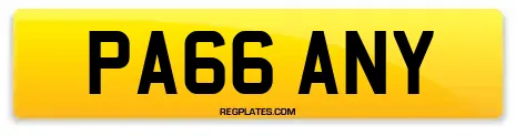 PA66 ANY