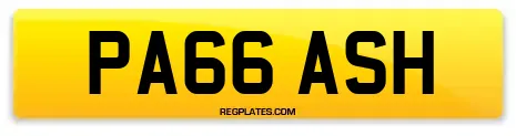 PA66 ASH