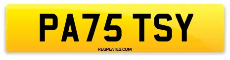 PA75 TSY