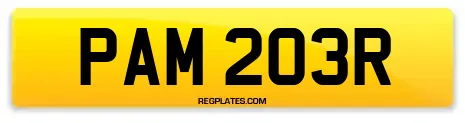PAM 203R