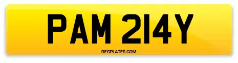 PAM 214Y