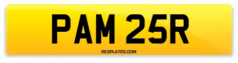PAM 25R