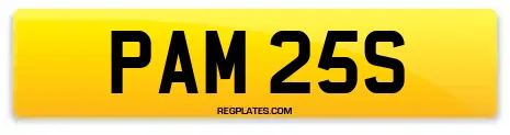 PAM 25S