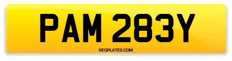 PAM 283Y