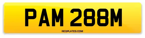 PAM 288M