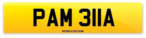 PAM 311A