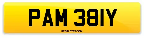 PAM 381Y