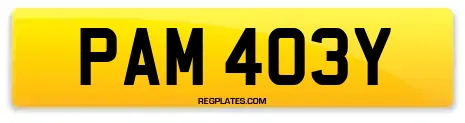 PAM 403Y