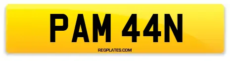 PAM 44N
