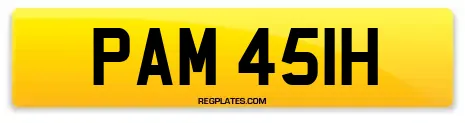 PAM 451H