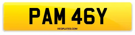 PAM 46Y