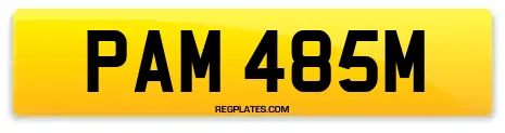 PAM 485M