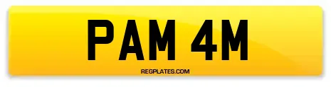PAM 4M