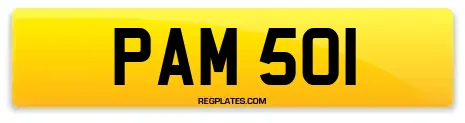 PAM 501