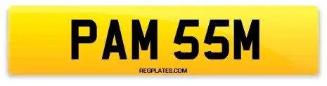 PAM 55M