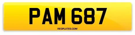 PAM 687