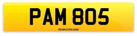 PAM 805