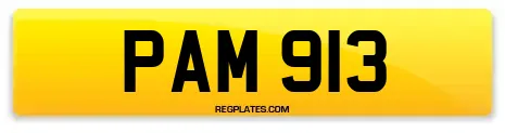PAM 913