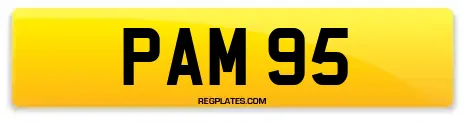 PAM 95