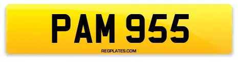 PAM 955