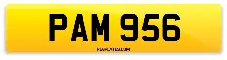 PAM 956
