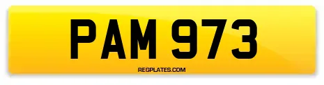 PAM 973