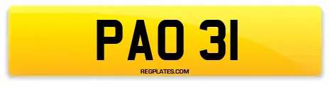 PAO 31