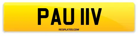PAU 11V