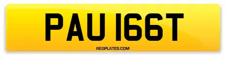 PAU 166T