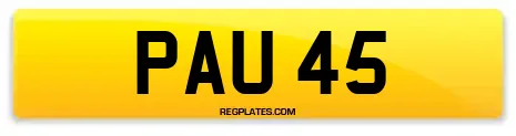 PAU 45
