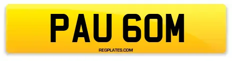 PAU 60M
