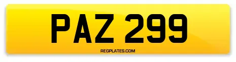 PAZ 299