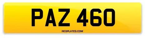 PAZ 460