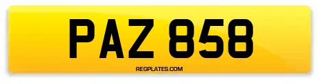 PAZ 858