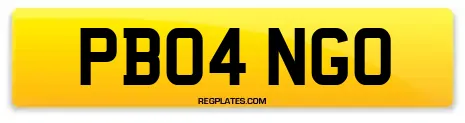 PB04 NGO