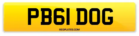 PB61 DOG