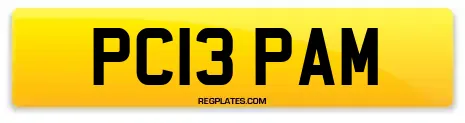 PC13 PAM