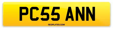 PC55 ANN