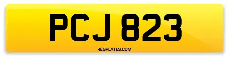 PCJ 823