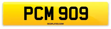 PCM 909