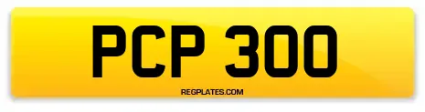 PCP 300