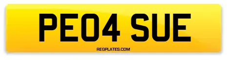 PE04 SUE