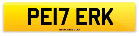 PE17 ERK