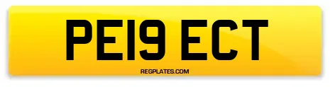 PE19 ECT