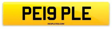 PE19 PLE