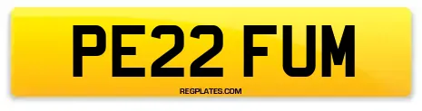 PE22 FUM