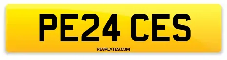 PE24 CES